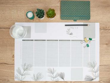 Ordnung darf Freude machen – mit SIGEL den Arbeitsplatz natürlich gestalten