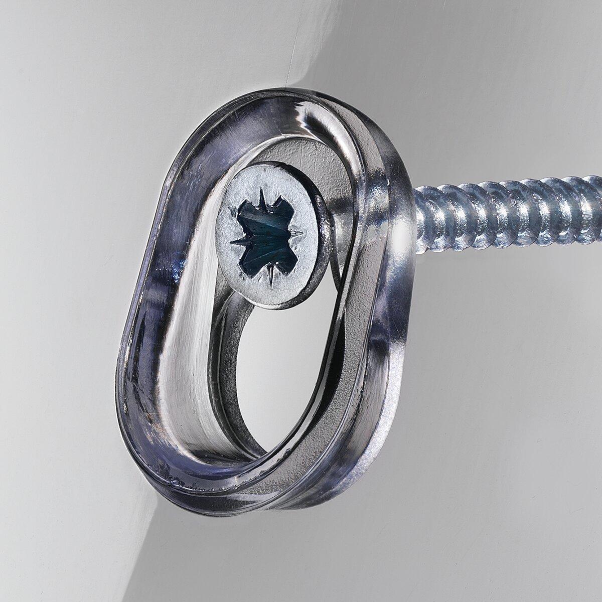 Metal screw through shiny ring