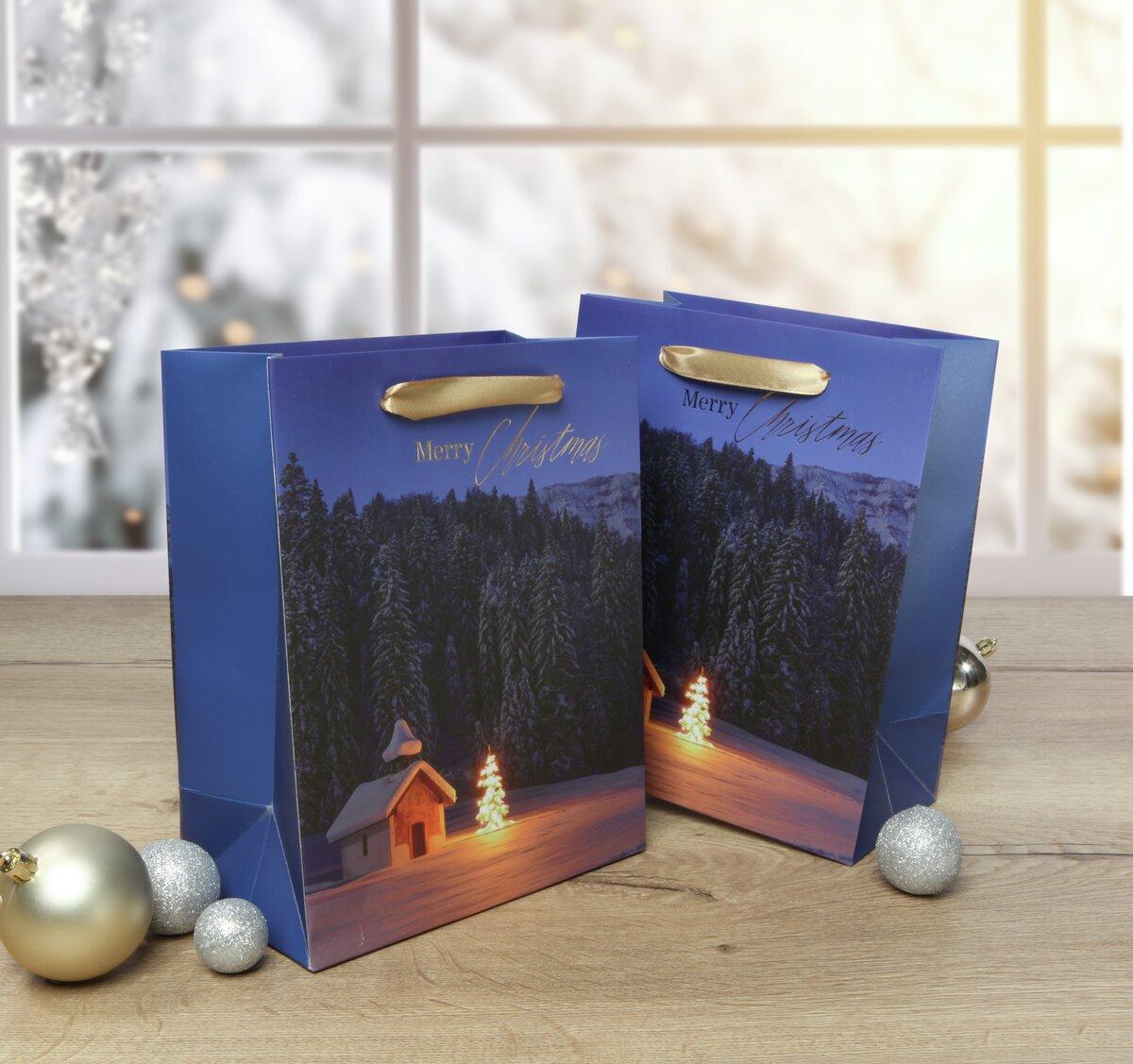 Blue gift bags with winter motif and golden handles on wooden table snowy landscape in background