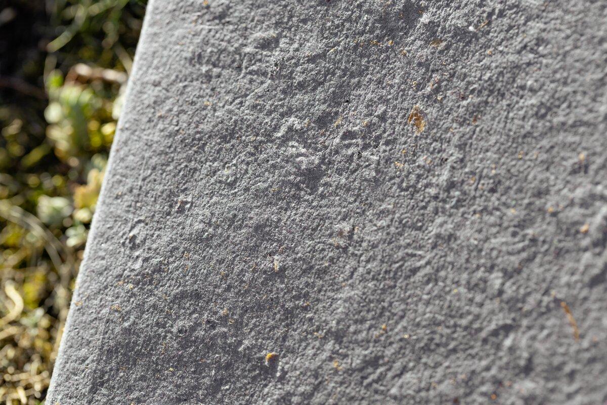 Rauhe graue Steinoberfläche Im Hintergrund unscharfe Pflanzen