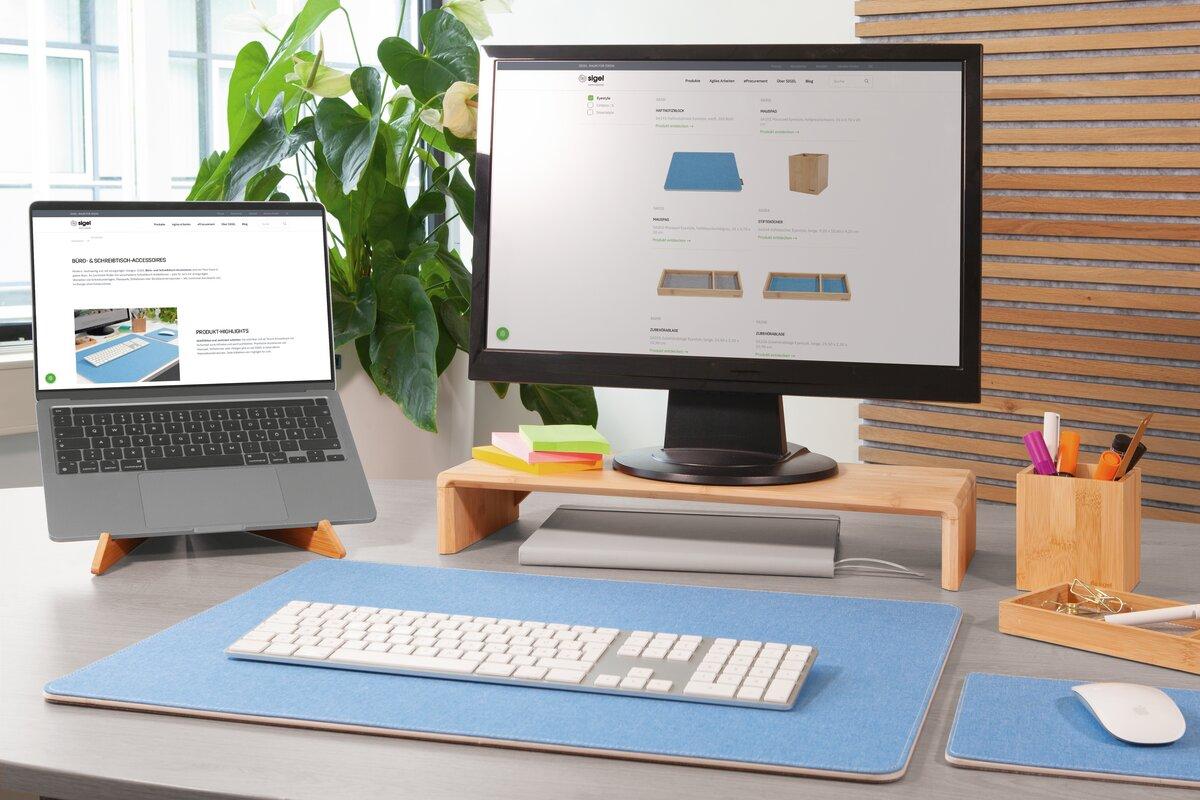 Desk with laptop and monitor plants in background