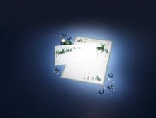 Christmas card with deer motif, Christmas decorations