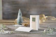 DS073-Karte-Umschlag-Christmas-with-apples-Ambiente.jpg