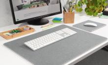 Monitor and keyboard on a desk, office accessories and plant in the background