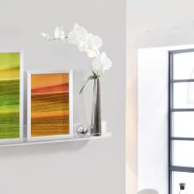 White orchid in metal vase, next to colorful pictures on a shelf