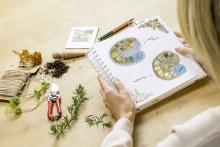 Zeichnung eines Kräutergartens in einem Notizbuch, mit Gartenutensilien auf einem Tisch