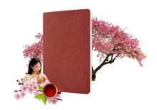 Notizbuch-Re-Up-Japan-RU202-RU203-Stilbild.jpg