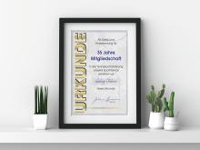 Urkunde in schwarzem Rahmen neben Pflanzen auf einem weißen Regal