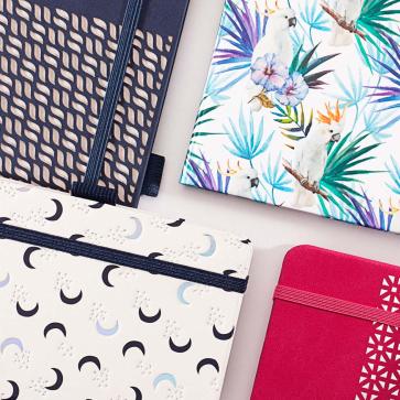 Wir sind SIGEL Andrea Born Teaser