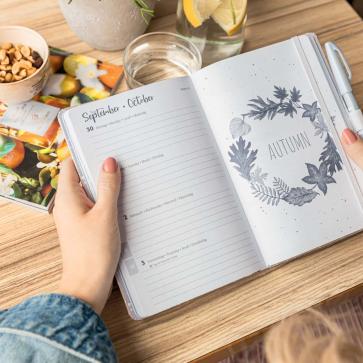 SIGEL Kalender 2024 Teaser